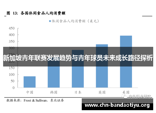 新加坡青年联赛发展趋势与青年球员未来成长路径探析