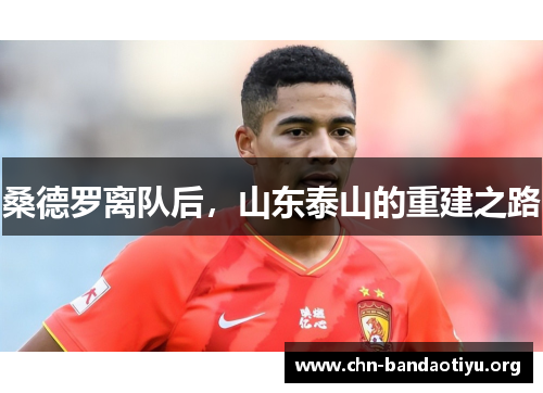 桑德罗离队后，山东泰山的重建之路