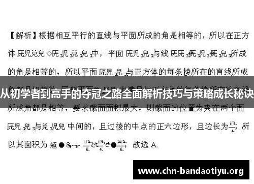 从初学者到高手的夺冠之路全面解析技巧与策略成长秘诀