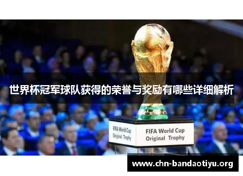 世界杯冠军球队获得的荣誉与奖励有哪些详细解析