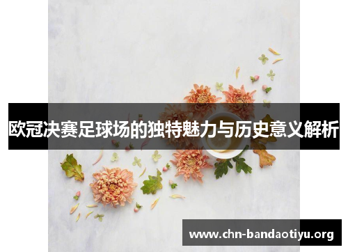 欧冠决赛足球场的独特魅力与历史意义解析