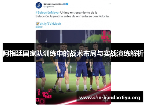 阿根廷国家队训练中的战术布局与实战演练解析