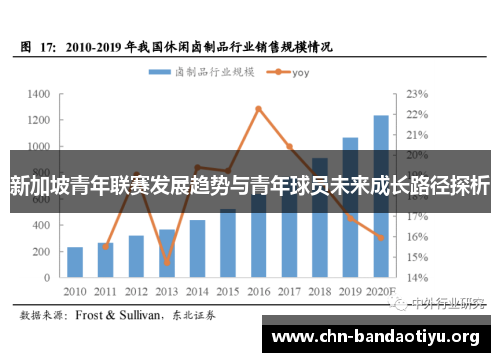 新加坡青年联赛发展趋势与青年球员未来成长路径探析 新加坡青年联赛发展趋势与青年球员未来成长路径探析